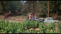 Le Gendarme de Saint-Tropez